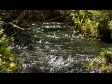 Stream 2 253